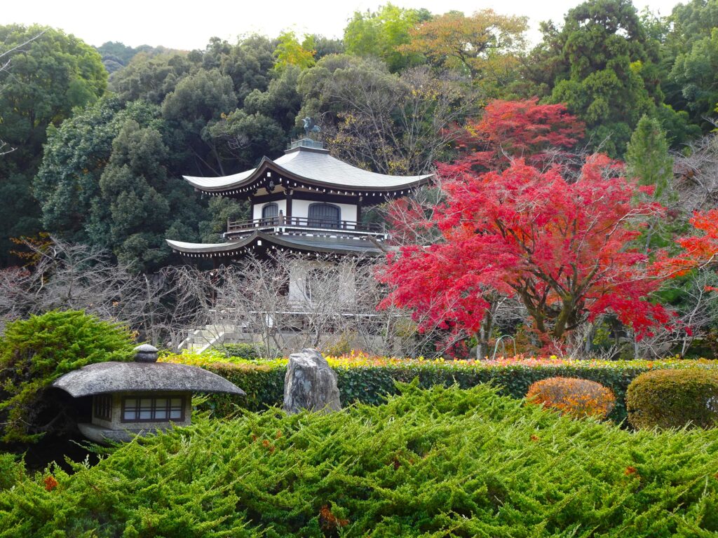 2023.11.27勸修寺3-1024x768