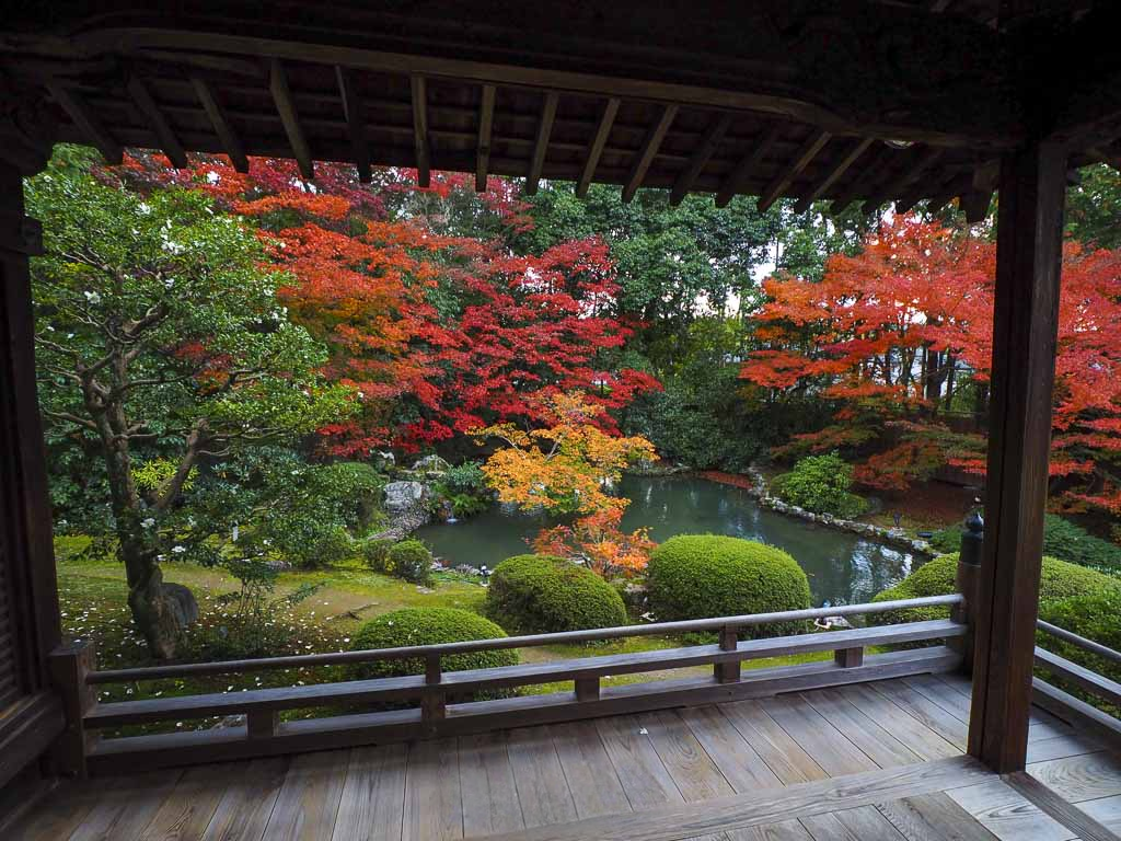 4c5ad068-b158-44de-92be-96f73778b782