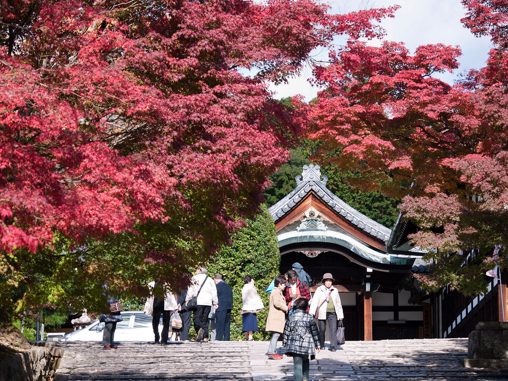 6481867691_6b378ec95e_b