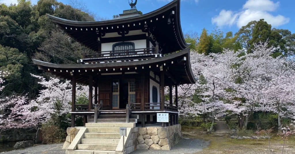 rectangle_large_type_2_a5babe57423a9732fb22598356a57c3d